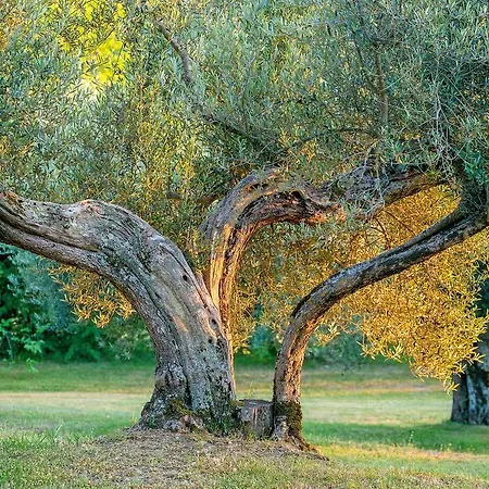 Country house Borgo Di Bastia Creti