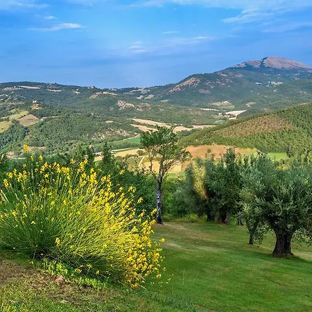 Borgo Di Bastia Creti