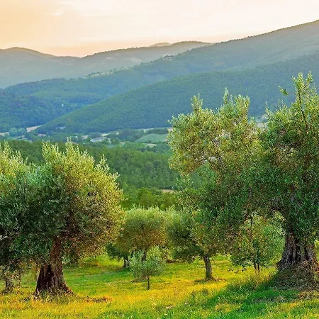 Borgo Di Bastia Creti בית כפרי Preggio